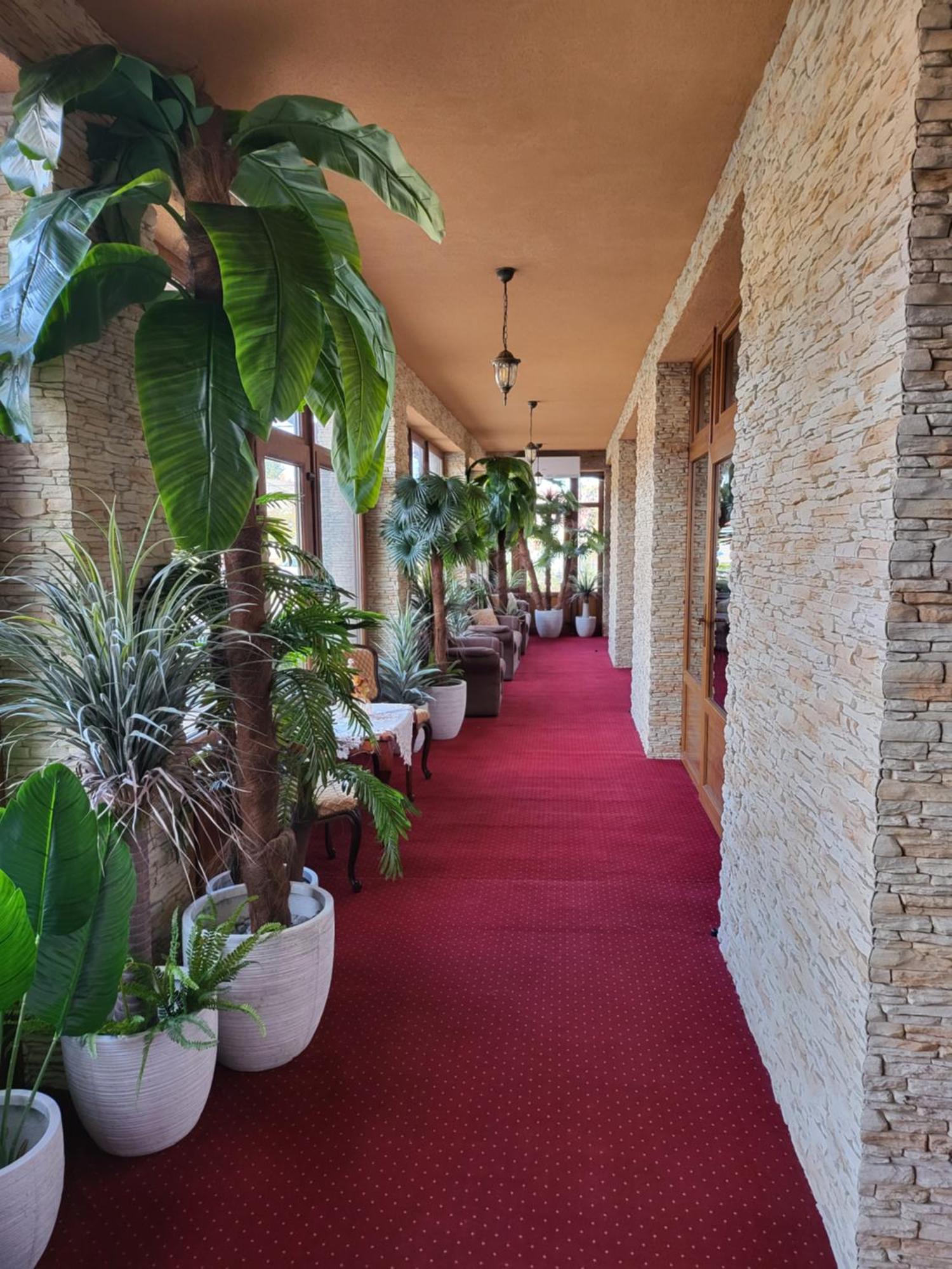 Voeroes Alom Panzio Bed & Breakfast Tiszakecske Luaran gambar