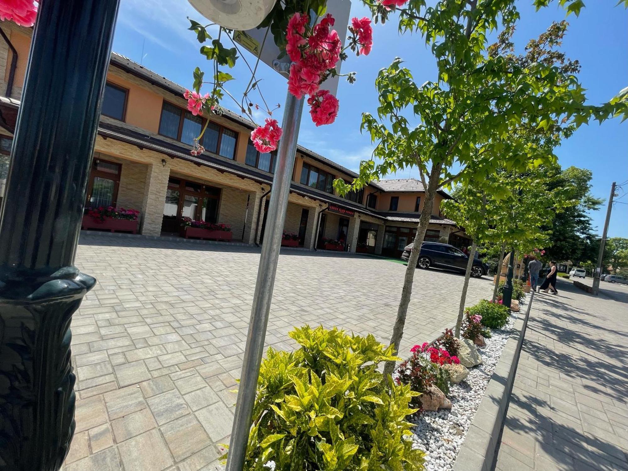 Voeroes Alom Panzio Bed & Breakfast Tiszakecske Luaran gambar